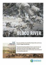 Watch Blood River Crossing 9Movies