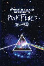 Watch Pink Floyd: Momentary Lapses - The True Story Of Pink Floyd 9Movies