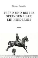 Watch Pferd und Reiter Springen �ber ein Hindernis 9Movies