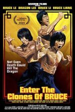 Watch Enter the Clones of Bruce 9Movies