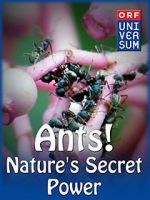 Watch Ants: Nature\'s Secret Power 9Movies