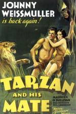 Watch Tarzan and His Mate 9Movies