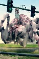 Watch Arachnoquake 9Movies