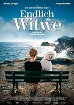Watch The Merry Widow 9Movies