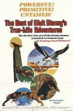 Watch The Best of Walt Disney\'s True-Life Adventures 9Movies