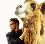 Watch Mikolas Josef: Lie to Me 9Movies
