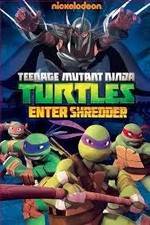 Watch Teenage Mutant Ninja Turtles: Enter Shredder 9Movies