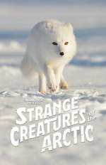 Watch Strange Creatures of the Arctic (TV Special 2022) 9Movies