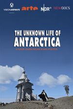 Watch The Unknown Life of Antarctica 9Movies