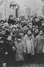 Watch AUSCHWITZ: LIBERATION AND REVENGE 9Movies