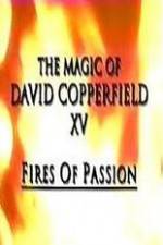 Watch The Magic of David Copperfield XV Fires of Passion 9Movies