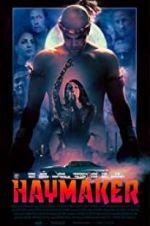 Watch Haymaker 9Movies