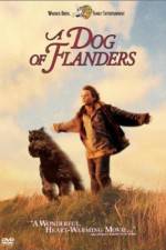 Watch A Dog of Flanders 9Movies