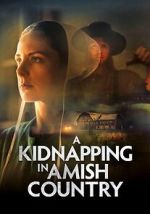 Watch A Kidnapping in Amish Country 9Movies