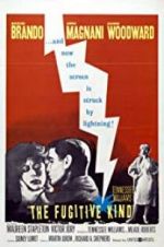 Watch The Fugitive Kind 9Movies