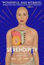Watch Serendipity 9Movies