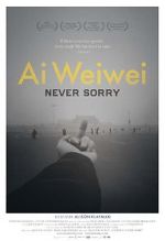 Watch Ai Weiwei: Never Sorry 9Movies