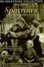Watch Sparrows 9Movies