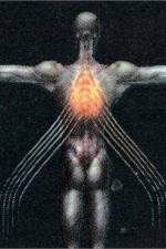 Watch Tool Salival 9Movies