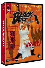 Watch Shen tui tie shan gong 9Movies
