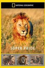 Watch National Geographic: Super Pride  Africa's Largest Lion Pride 9Movies