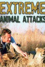 Watch Extreme Animal Attacks 9Movies