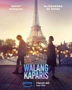 Watch Nothing Like Paris 9Movies