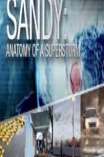 Watch Sandy Anatomy Of A Superstorm 9Movies