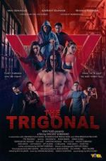 Watch The Trigonal: Fight for Justice 9Movies