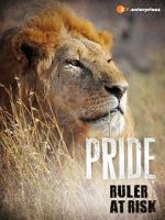 Watch Pride - Ruler\'s at Risk 9Movies