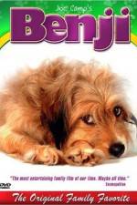 Watch Benji 9Movies
