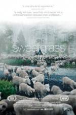 Watch Sweetgrass 9Movies