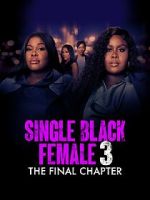 Watch Single Black Female 3: The Final Chapter 9Movies