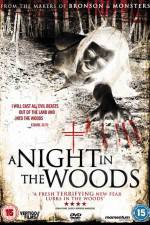Watch A Night in the Woods 9Movies
