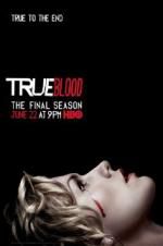 Watch True Blood 9Movies