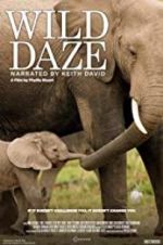 Watch Wild Daze 9Movies