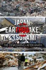 Watch Japan Aftermath of a Disaster 9Movies