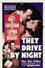 Watch They Drive by Night 9Movies