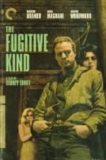 Watch The Fugitive Kind 9Movies