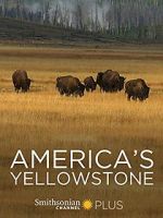 Watch America\'s Yellowstone 9Movies