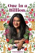 Watch Zarna Garg: One in a Billion 9Movies