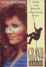 Watch Grand Larceny 9Movies