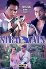 Watch Stray Cats 9Movies
