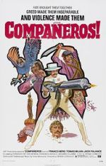 Watch Compa�eros 9Movies