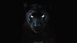 Watch The Real Black Panther (Short 2020) 9Movies