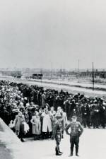 Watch AUSCHWITZ: SURPRISING BEGINNINGS 9Movies