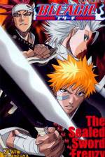 Watch Bleach: The Sealed Sword Frenzy 9Movies