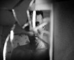 Watch Remember Me, My Ghost (Short 2011) 9Movies