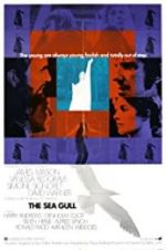 Watch The Sea Gull 9Movies