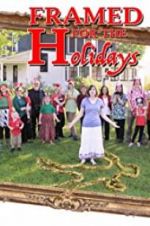 Watch Framed for the Holidays 9Movies
